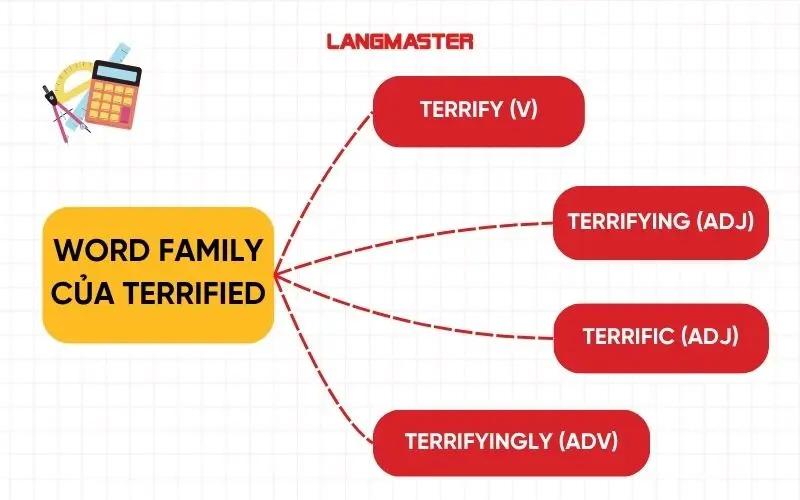 Word family của terrified