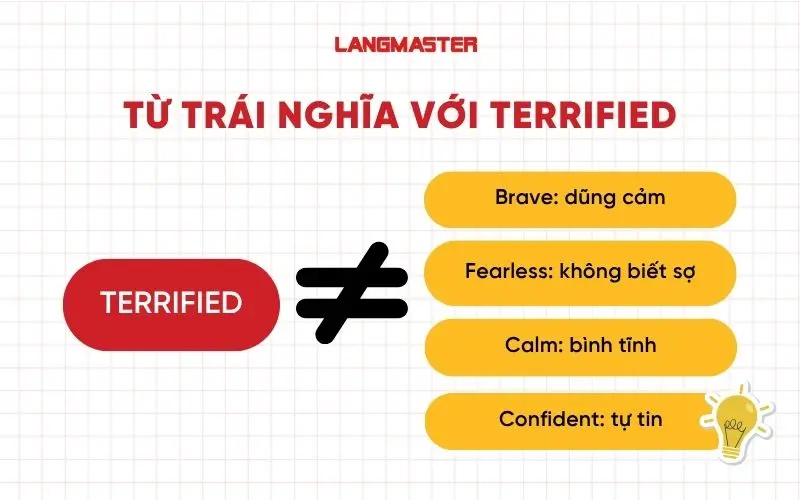 Từ trái nghĩa với terrified