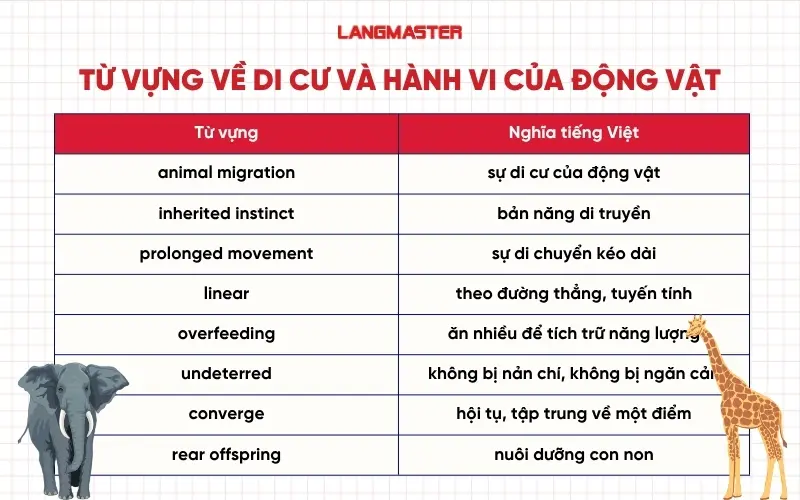 Từ vựng về di cư và hành vi của động vật