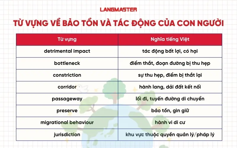 Từ vựng về bảo tồn và tác động của con người
