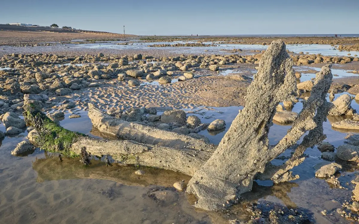 Đề thi IELTS Reading “Coastal archaeology of Britain”