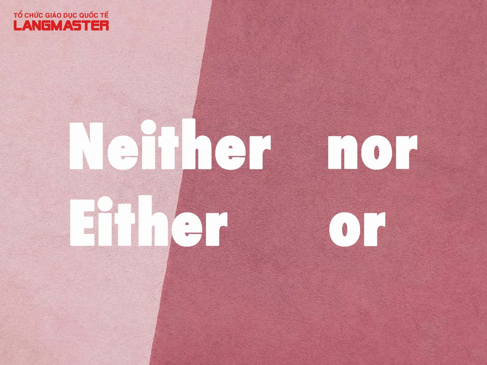 neither & either