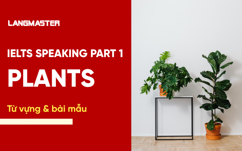 IELTS Speaking Part 1 Topic Plants: Bài mẫu & từ vựng Band 8+