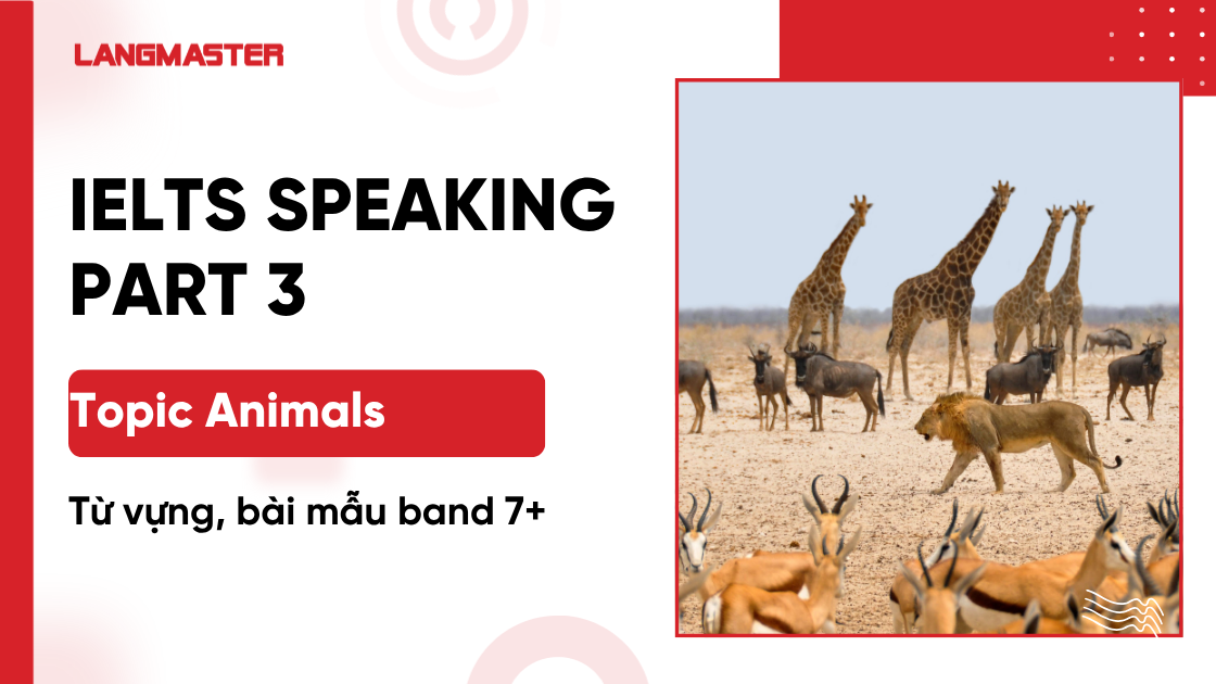 Animals/Pet IELTS Speaking Part 3 topic Animals: Từ vựng, bài mẫu band 7+