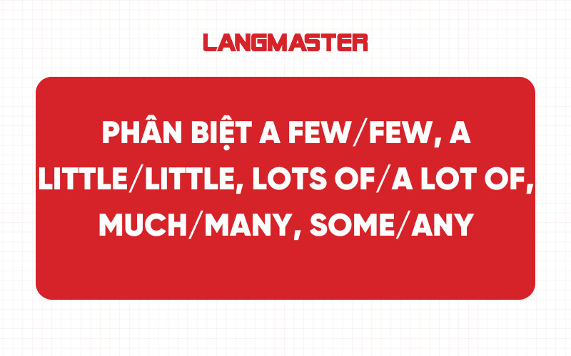 Phân biệt A Few/Few, A Little/Little, Lots Of/A Lot Of, Much/Many, Some/Any