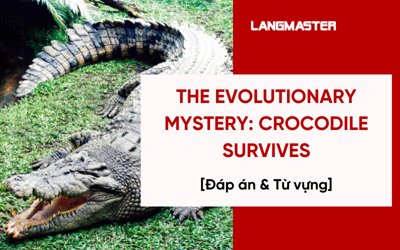 Giải đề IELTS Reading: The Evolutionary Mystery: Crocodile Survives