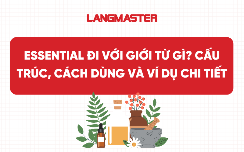 Essential đi với giới từ gì? Cấu trúc, cách dùng và ví dụ chi tiết
