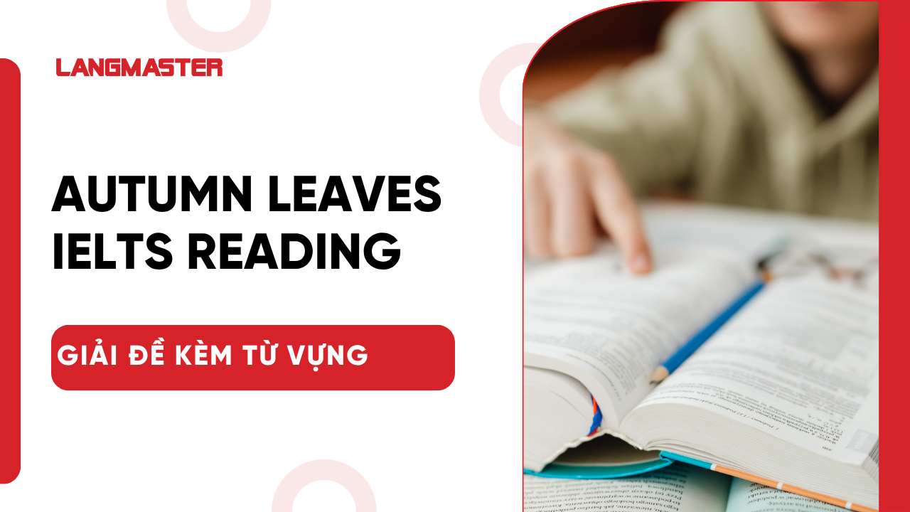 Autumn leaves IELTS Reading: Giải đề chi tiết kèm từ vựng