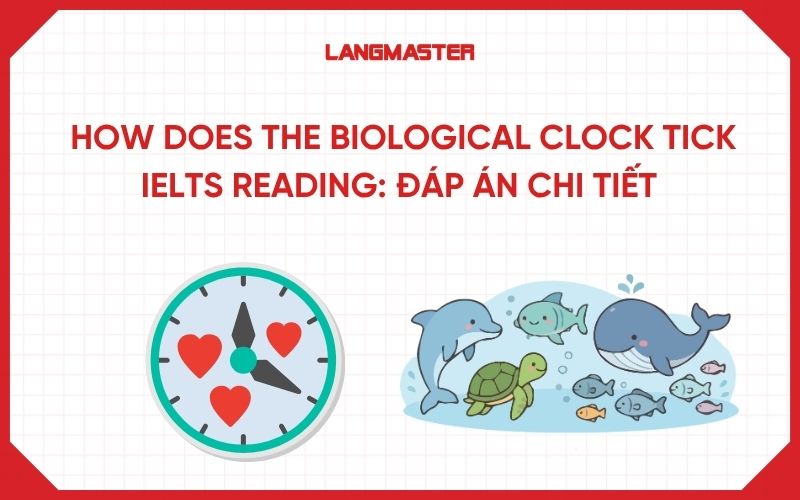 How Does the Biological Clock Tick IELTS Reading: Đáp án chi tiết